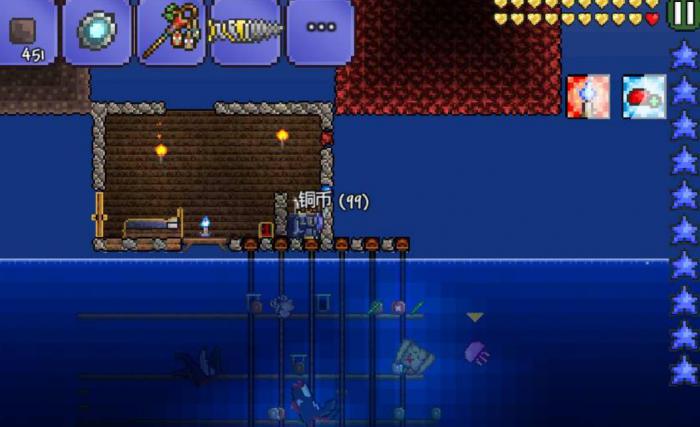 泰拉瑞亚水蜡烛有什么用2