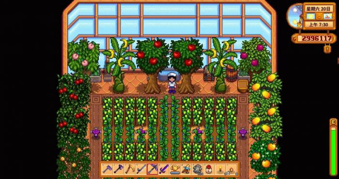 星露谷物语秋季种植有哪些方向_星露谷物语官网