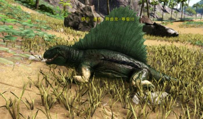 方舟生存进化异齿龙怎么驯服1