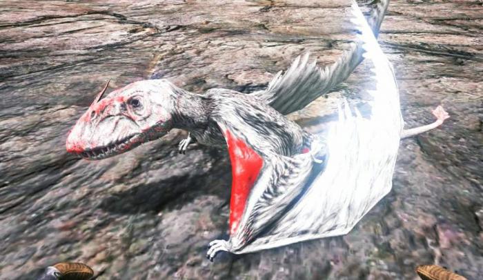 方舟生存进化双型齿翼龙有什么用1