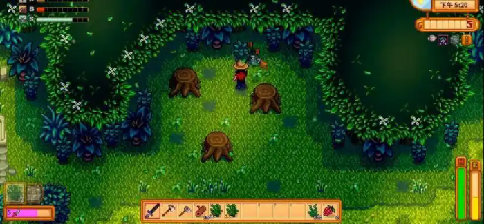 星露谷物语秘密森林有哪些玩法2