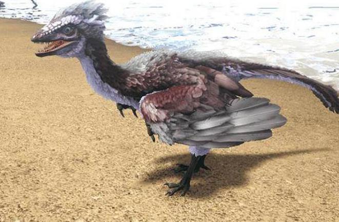 方舟生存进化始祖鸟怎么驯服1