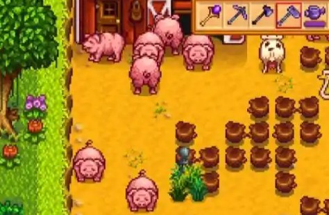 星露谷物语松露产出机制是怎么样的2