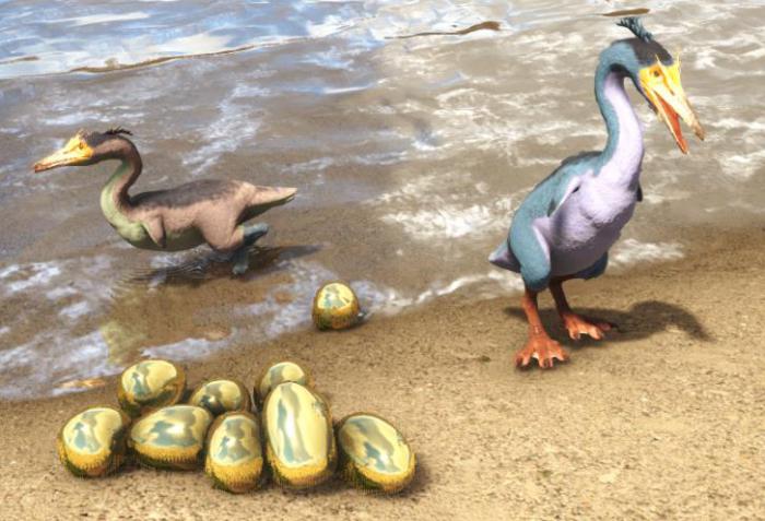 方舟生存进化黄昏鸟特性是什么2