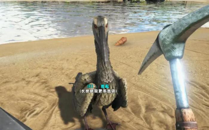 方舟生存进化鱼鸟特性是什么_方舟生存进化鱼鸟特性怎么获得