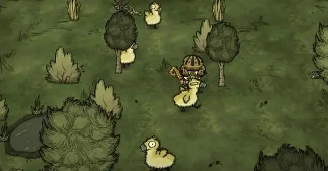 饥荒联机版怎么打麋鹿鹅幼崽1