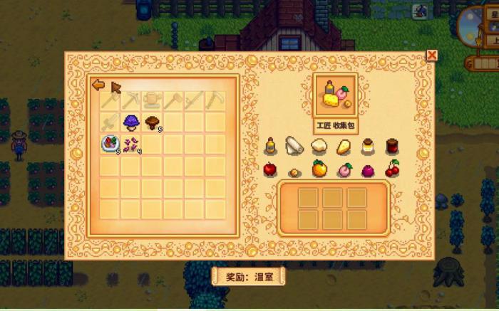 星露谷物语夏季能完成的收集包有哪些2