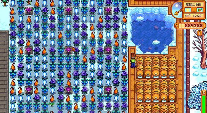 星露谷物语冬季可以种哪些作物1