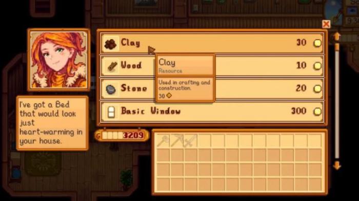 星露谷物语木匠商店有哪些值得购买的_星露谷物语木匠在哪里图解