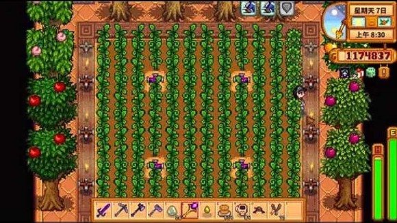 星露谷物语齐瓜如何种植1