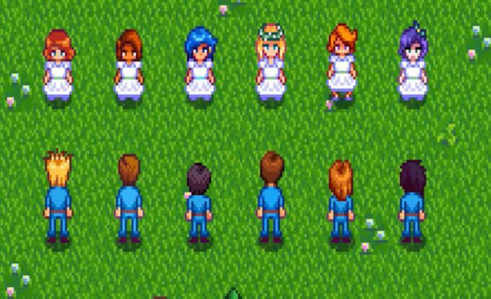 星露谷物语第一年花舞节怎么找舞伴_星露谷物语花舞节怎么参加