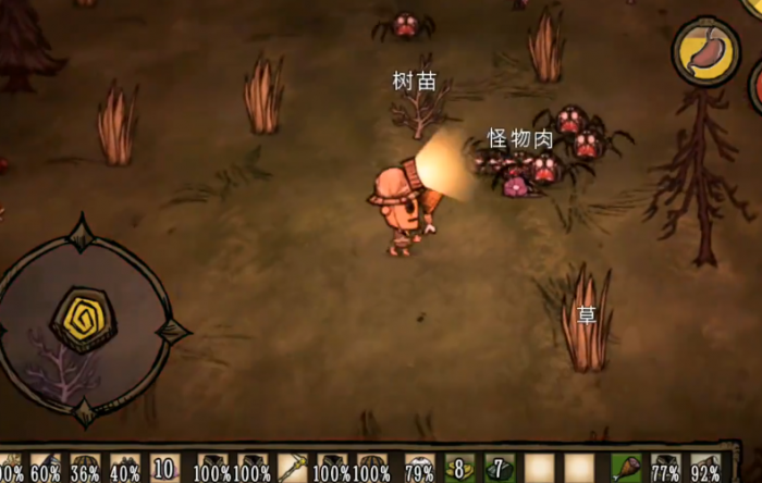 饥荒如何饲养鸟类2