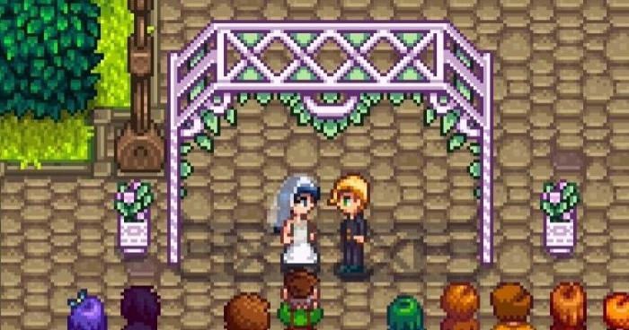 星露谷物语结婚对象要该如何选择1