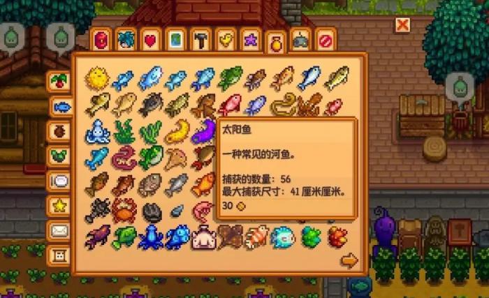 星露谷物语中太阳鱼在哪里钓2