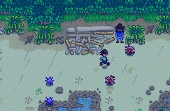 星露谷物语结婚需要什么条件2