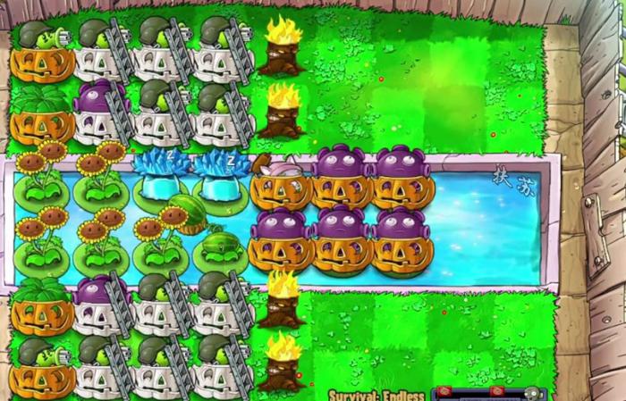植物大战僵尸怎么摆阵比较好3
