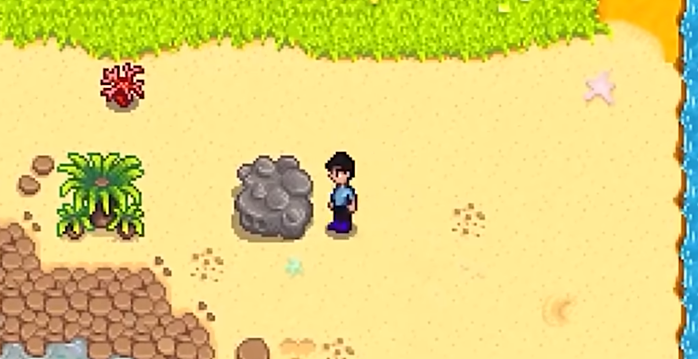 星露谷物语姜岛核桃怎么拿3