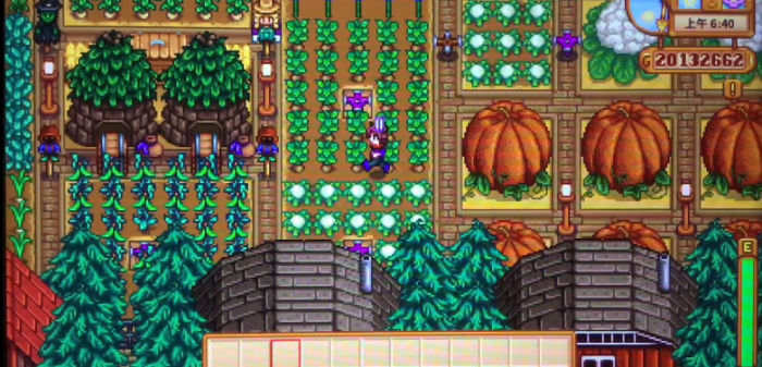 星露谷物语什么农作物收益最高3