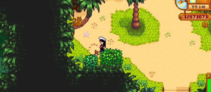 星露谷物语姜岛北部在哪2