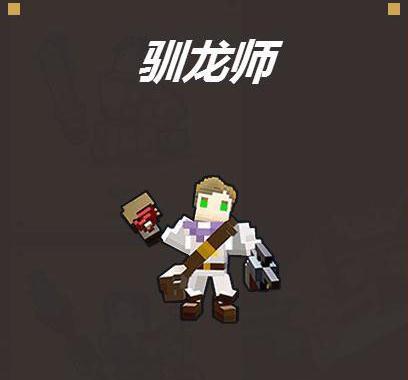 宝藏世界驯龙师是什么样的副职业_宝藏世界龙大全