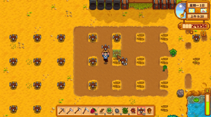 星露谷物语夏天该种什么1