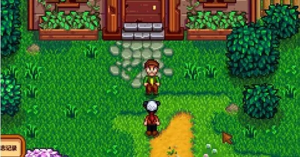 星露谷物语怎么进去法师塔2