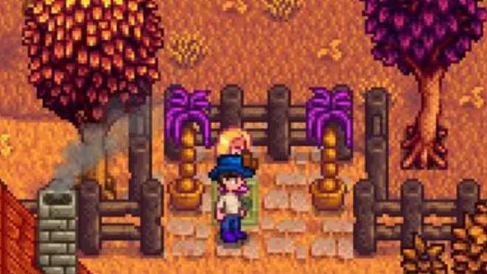 星露谷物语海莉十星剧情选什么2