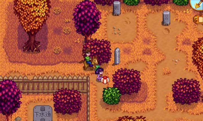 星露谷物语沙漠湖里有什么鱼3