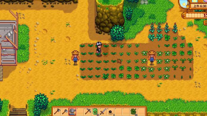 星露谷物语如何娶多个老婆1