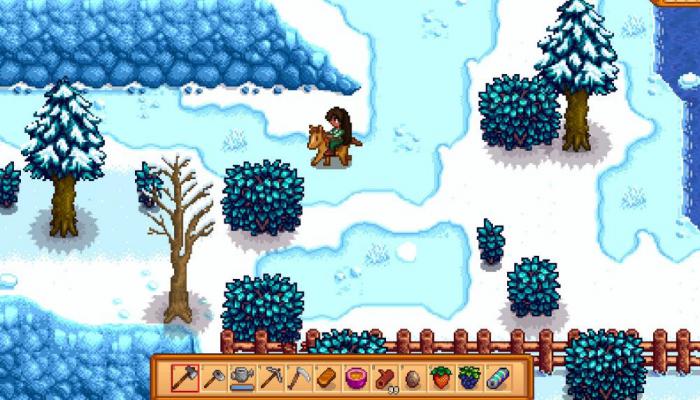 星露谷物语雨天艾利欧特在哪1