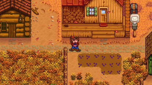 星露谷物语怎么亲吻_星露谷物语亲吻模组