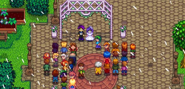 星露谷物语怎么和玩家结婚2