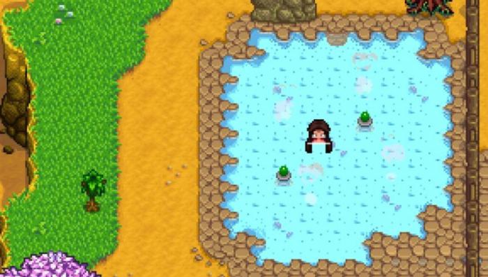 星露谷物语的温泉有什么作用_星露谷物语攻略网 星露谷物语的温泉有什么作用_星露谷物语攻略网