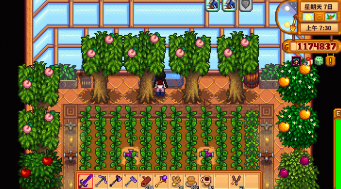 星露谷物语应该种什么3