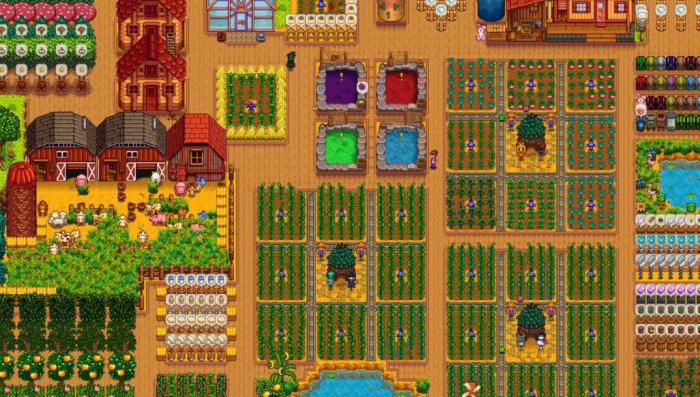 星露谷物语海莉6星选什么2