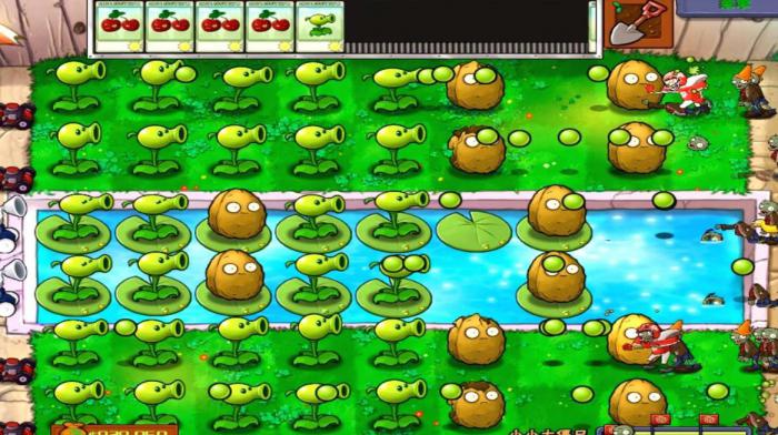 植物大战僵尸2哪些植物值得培养2