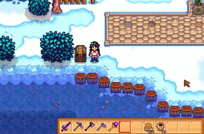 星露谷物语姜岛商店在哪2