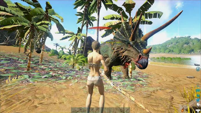 方舟生存进化怎样驯服恐龙_方舟生存进化驯服恐龙主动攻击