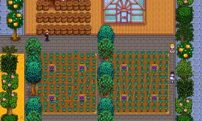 星露谷物语山洞怎么触发2