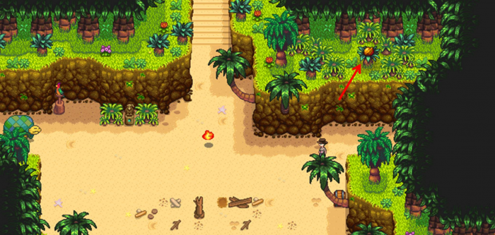 星露谷物语姜岛照片任务怎么做1