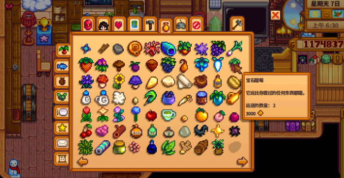 星露谷物语法师任务如何完成2