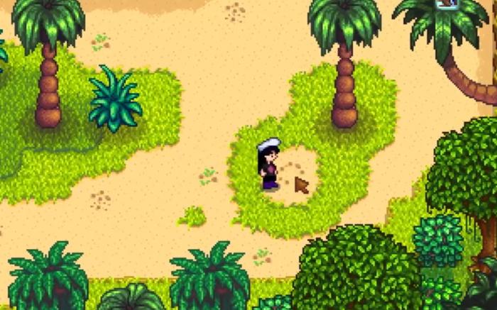 星露谷物语姜岛怎么去西边2