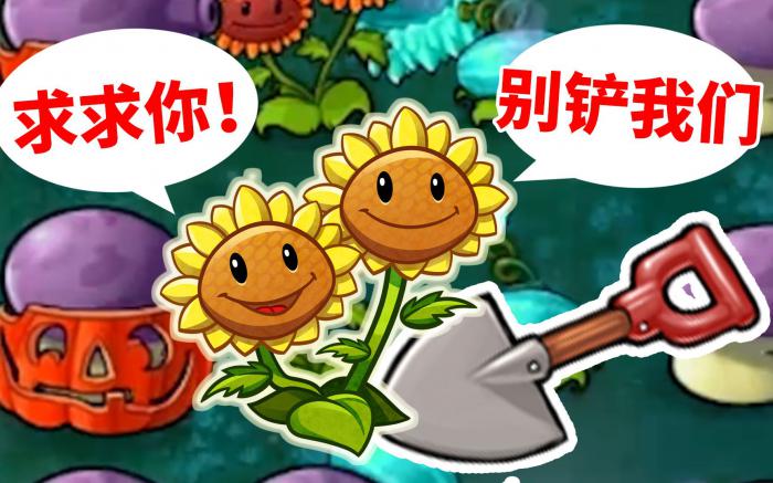 植物大战僵尸双子向日葵基础属性如何1