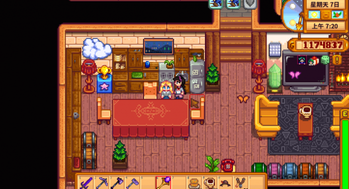 星露谷物语结婚有什么好处_星露谷物语最新版本