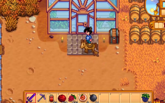 星露谷物语海莉问农场每天干什么2