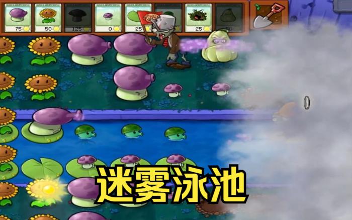 植物大战僵尸僵尸迷雾怎么玩1