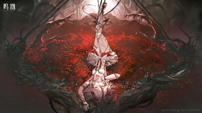 鸣潮椿的技能循环怎么打_潮鸣り怎么读