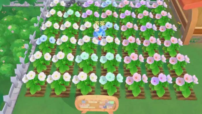 摩尔庄园怎么种地赚钱2