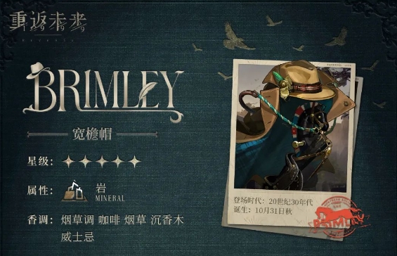 重返未来宽檐帽机制怎么样_重返未来意思