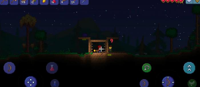 泰拉瑞亚第一天晚上怎么过3